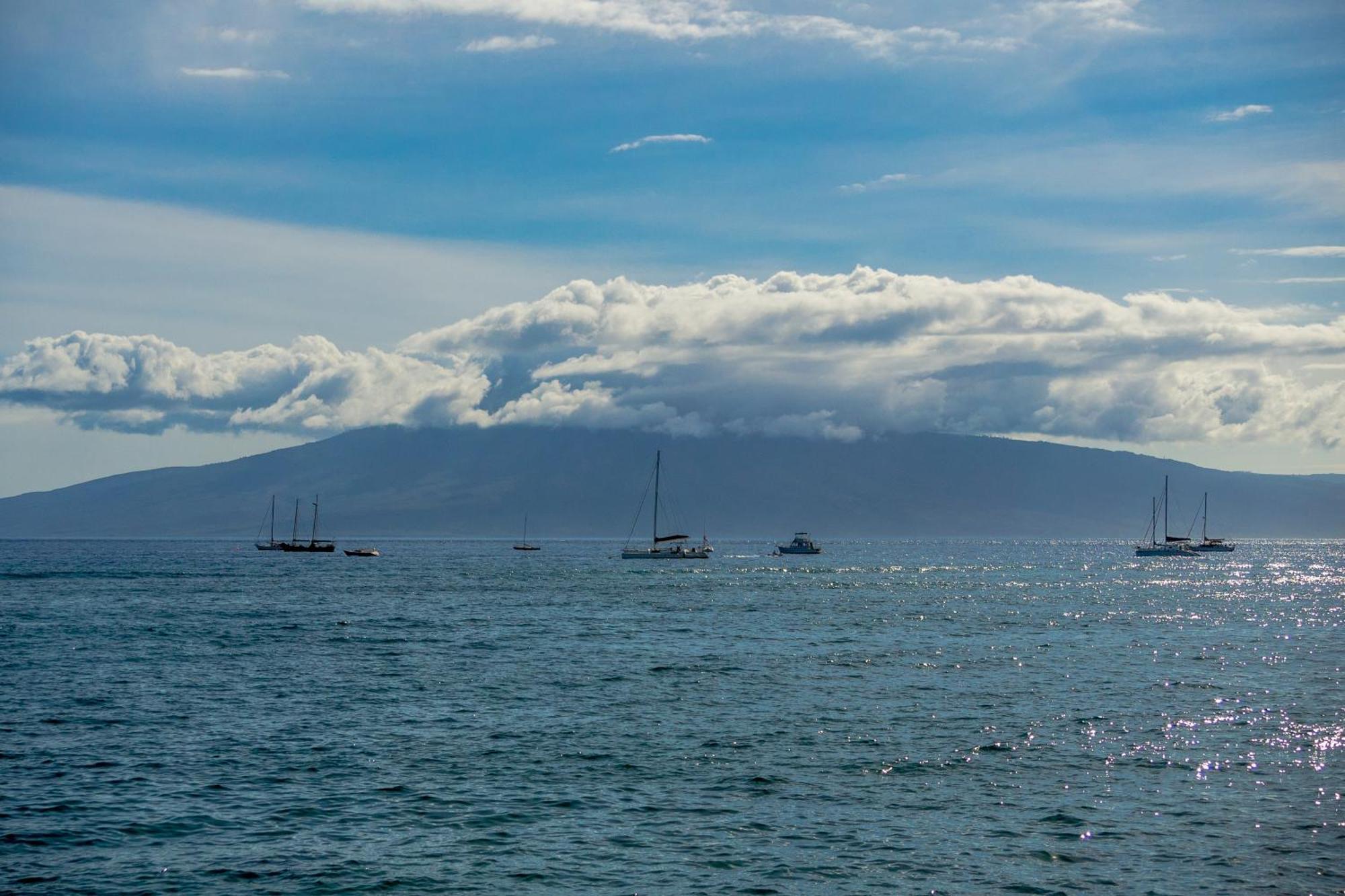 Napili-Honokowai Paki Maui 222 아파트 객실 사진