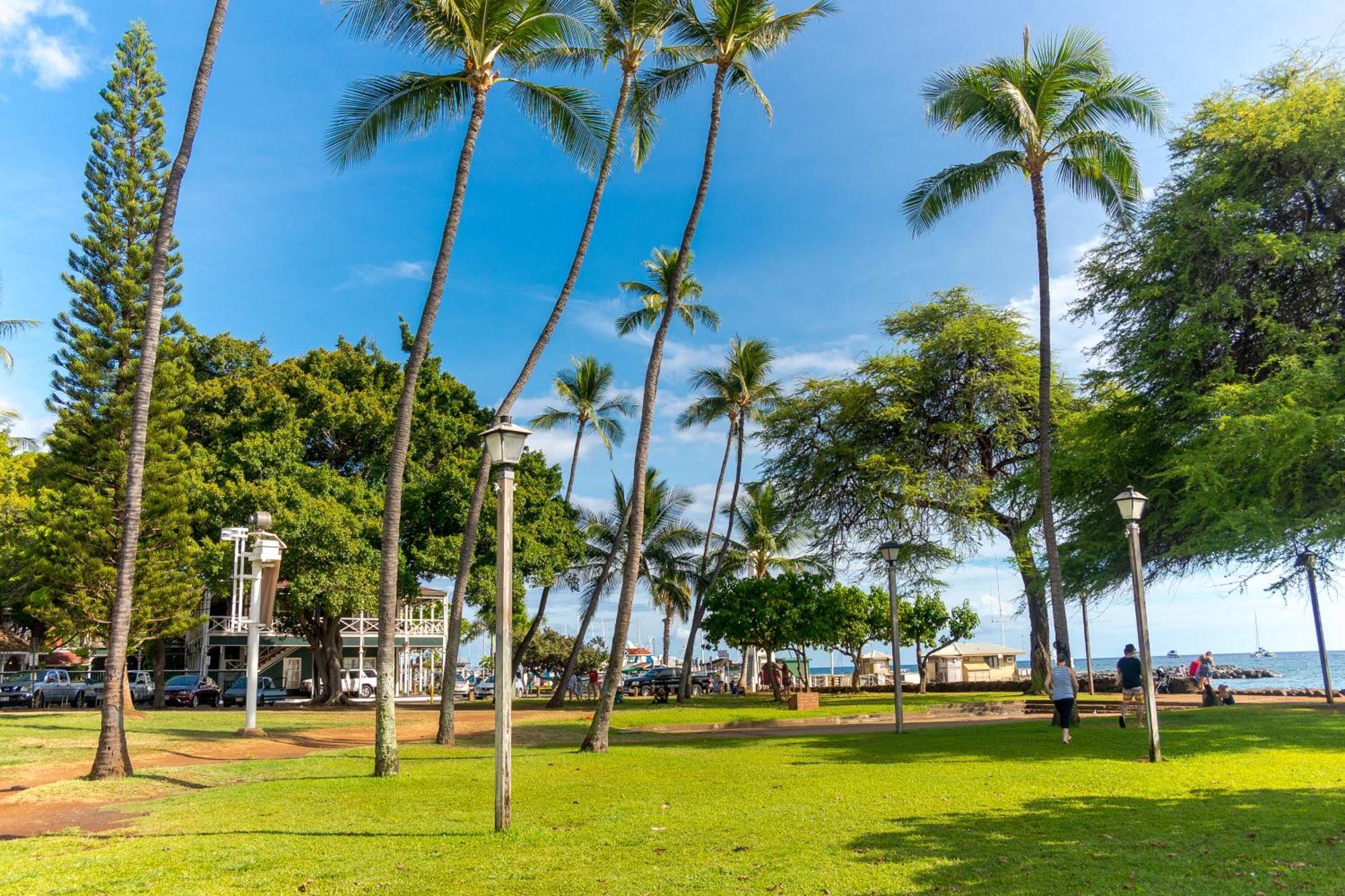Napili-Honokowai Paki Maui 222 아파트 객실 사진